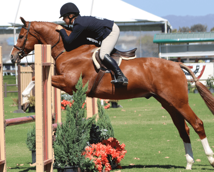 Jenna Reveal, Owner & Trainer - Equestrian in San Juan Capistrano