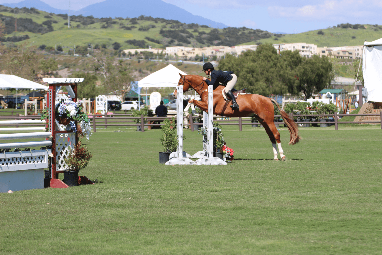 Try A Free Lesson! Welcome to Reveal Equestrian Try A Free Lesson ...