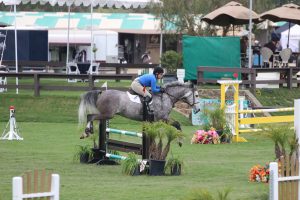 Equestrian Jumping Event