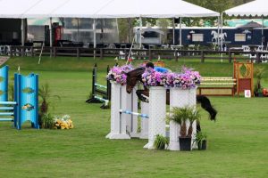Equestrian Jumps Over Obstacle with Pink Flowers