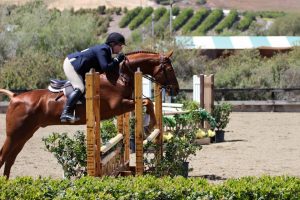 Fletch Performs at an Equestrian Event