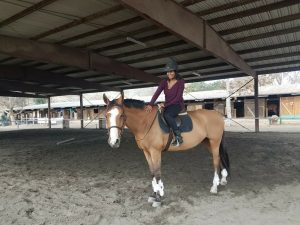 First Lesson on horse at reveal equestrian